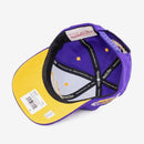 Discontinued - Mitchell & Ness NBA Team LoFi Pro Snapback - One Size - lauxsportinggoods