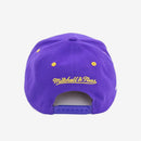 Discontinued - Mitchell & Ness NBA Team LoFi Pro Snapback - One Size - lauxsportinggoods