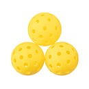 Selkirk Sport SLK by Selkirk x The Holderness Family Pickleball Bundle - lauxsportinggoods
