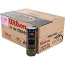 Wilson US Open XD Tennis Balls - lauxsportinggoods