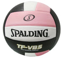 Athletic Connection Spalding TF-VB5 Tournament Leather Volleyball - lauxsportinggoods