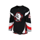 Fanatics Buffalo Sabres Rasmus Dahlin
