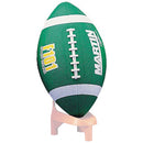 Martin Sports Official Size Rainbow Footballs - lauxsportinggoods