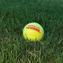 Open Box Tourna Pressureless Tennis Balls-45 Balls - lauxsportinggoods