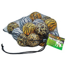 Open Box Unique Sports Dog Fetch Balls 18 Ball Mesh Carry Bag Non-Squeaker - lauxsportinggoods