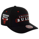 Discontinued - Mitchell & Ness NBA Team LoFi Pro Snapback - One Size - lauxsportinggoods