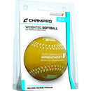 Champro Weighted Training Softballs Retail - lauxsportinggoods