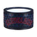 Lizard Skins DSP MLB Club Bat Grip - lauxsportinggoods