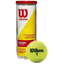 Wilson Championship Tennis Balls - lauxsportinggoods