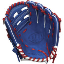 Easton 2021 Future Elite 11-Inch Youth Glove - lauxsportinggoods