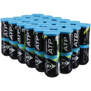 Dunlop ATP Championship Tennis Balls - lauxsportinggoods