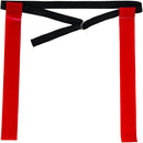 Franklin Sports 14-Man Flag Football Premier Set (Flags, Cones, Carry Bag) - lauxsportinggoods