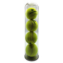Dunlop Academy Practice Tennis 4 Ball/Can - lauxsportinggoods