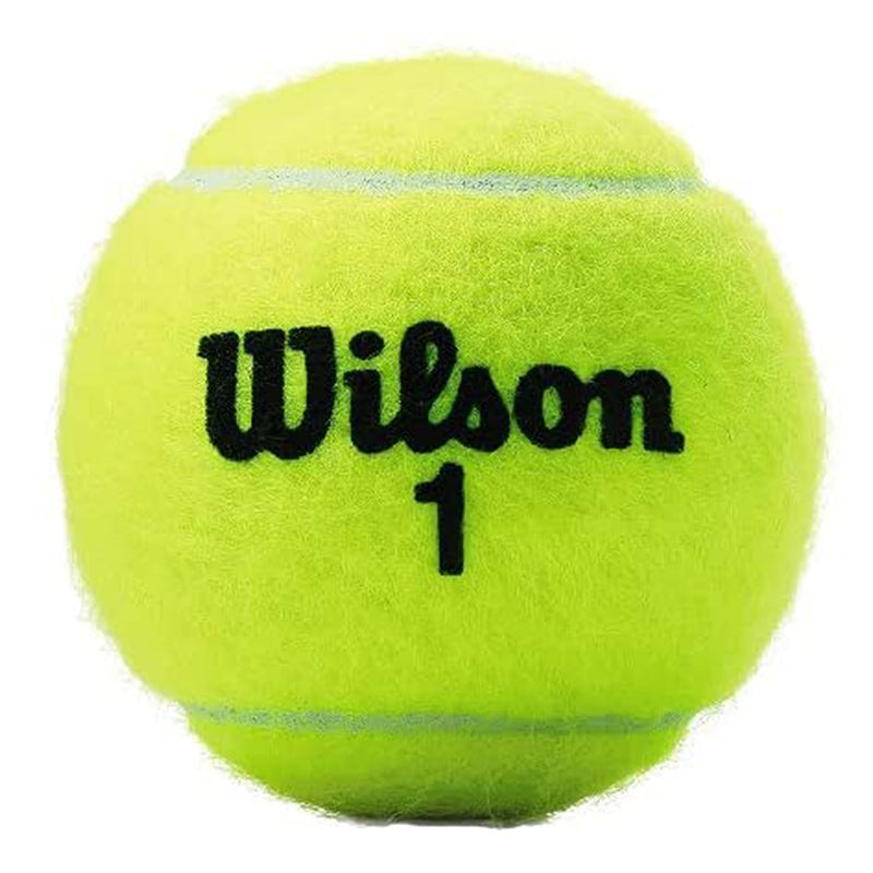 Wilson Championship Tennis Balls - lauxsportinggoods
