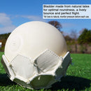 Select Sport - Numero 10 v22 Soccerball - lauxsportinggoods
